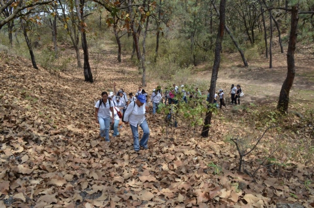 Caminatas guiadas
